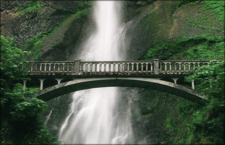 450x291_2